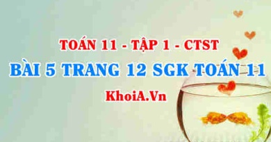 Bài 5 trang 12 SGK Toán 11 Tập 1 Chân trời sáng tạo